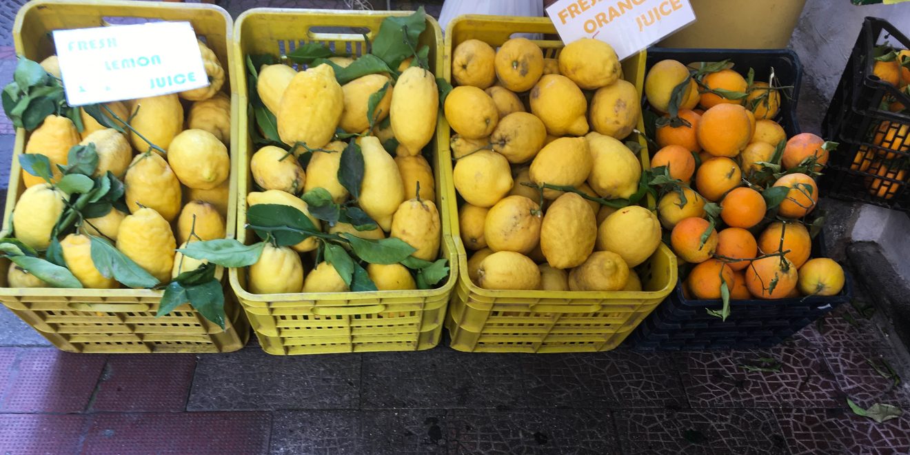 Citrons de la côte amalfitaine